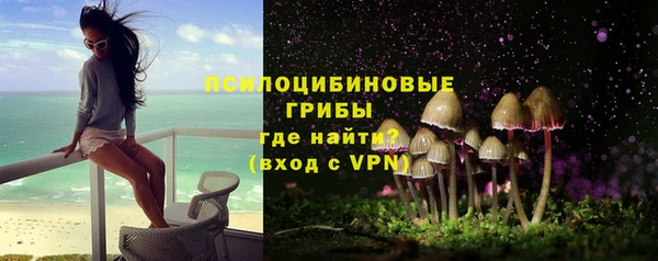 дмт Михайловск