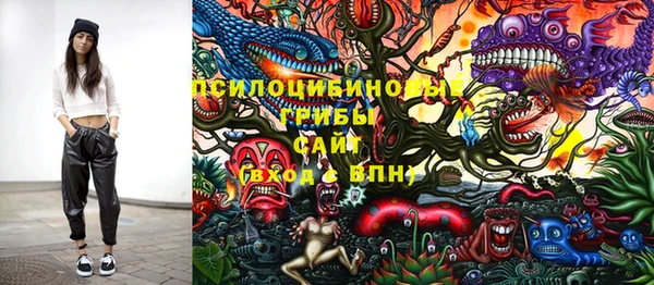 дмт Михайловск