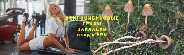 дмт Михайловск